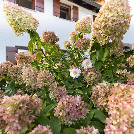 Ferienwohnung Alpenglueck มาร์คแชลเลนแบร์ก ภายนอก รูปภาพ