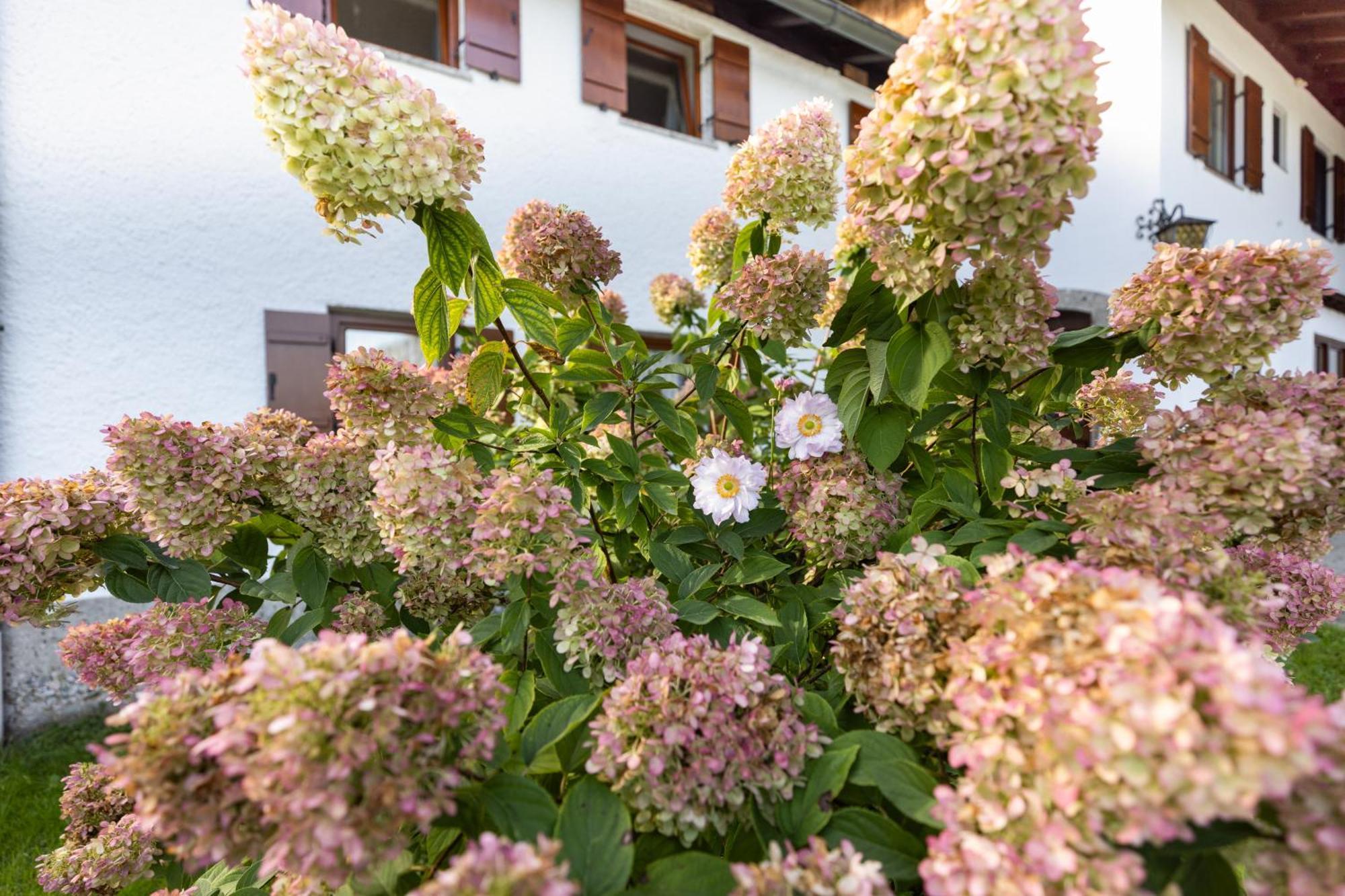 Ferienwohnung Alpenglueck มาร์คแชลเลนแบร์ก ภายนอก รูปภาพ